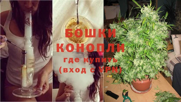 дживик Новодвинск