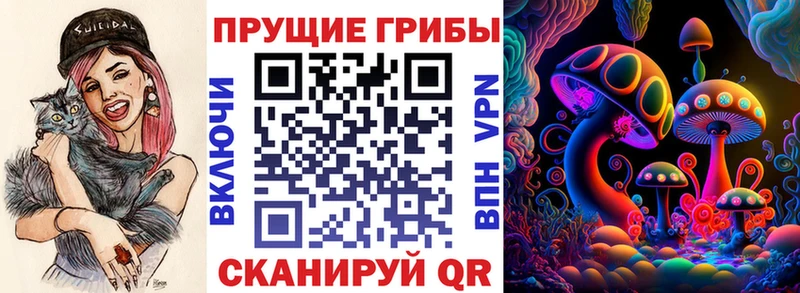 купить наркотик  Холмск  Псилоцибиновые грибы MAGIC MUSHROOMS 